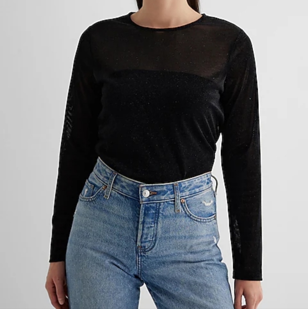 NWT Express Sheer Shine Crew Neck Long Sleeve Tee
